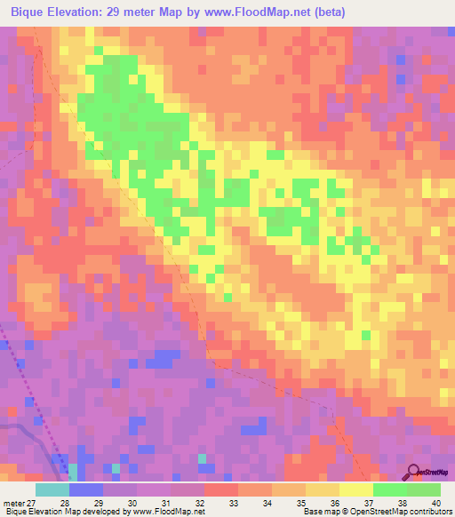 Bique,Mozambique Elevation Map