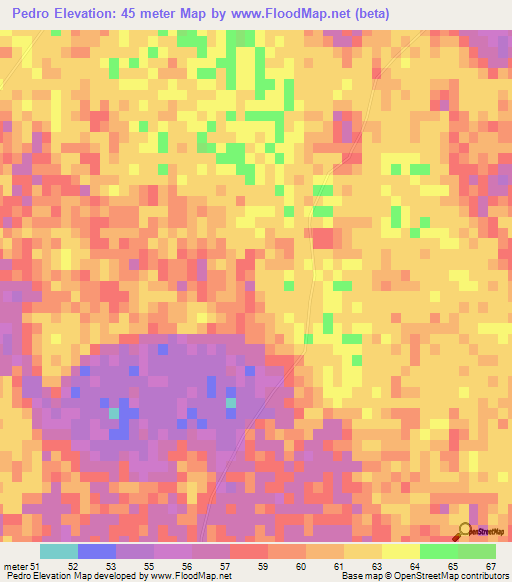 Pedro,Mozambique Elevation Map