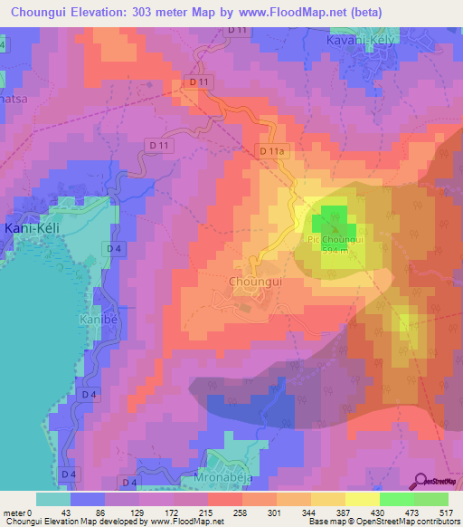 Choungui,Mayotte Elevation Map