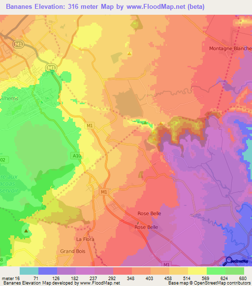 Bananes,Mauritius Elevation Map