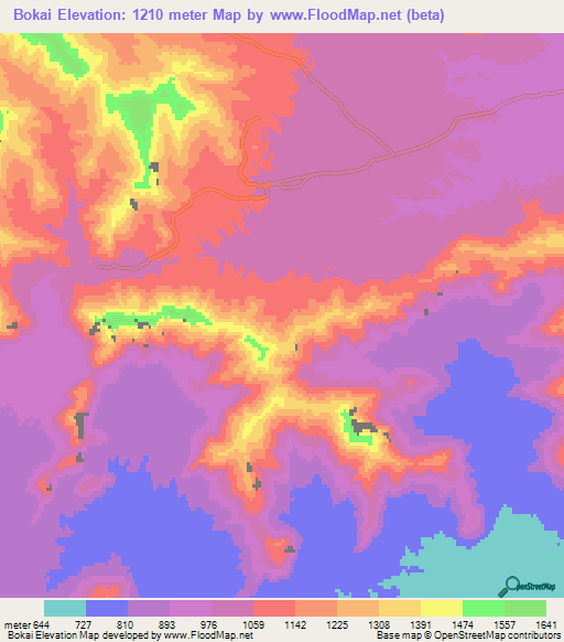 Bokai,Pakistan Elevation Map