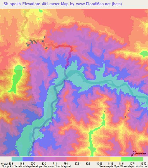 Shinpokh,Pakistan Elevation Map