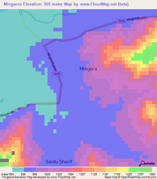 Mingaora,Pakistan Elevation Map