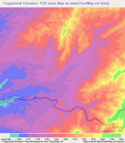 Torgaybulak,Uzbekistan Elevation Map