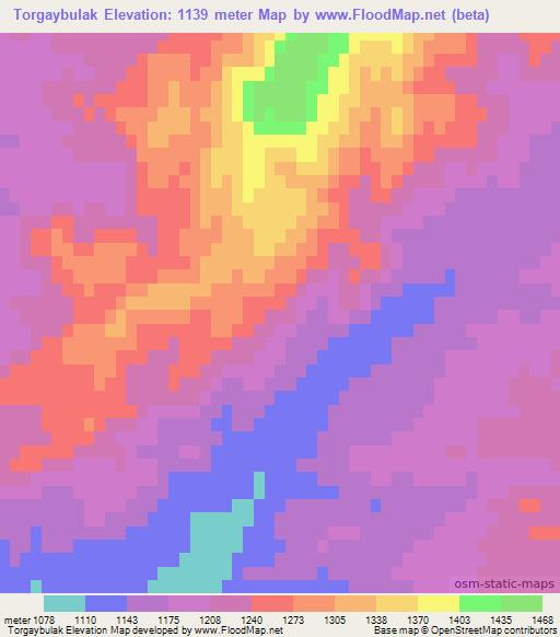 Torgaybulak,Uzbekistan Elevation Map