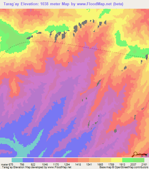 Tarag`ay,Uzbekistan Elevation Map