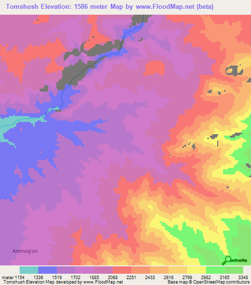 Tomshush,Uzbekistan Elevation Map