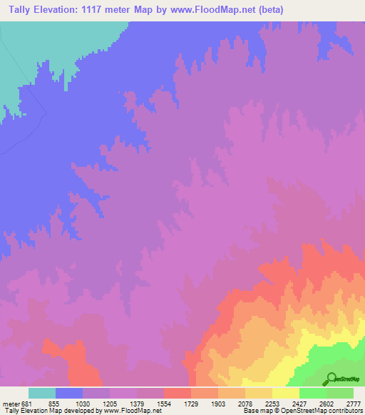 Tally,Uzbekistan Elevation Map