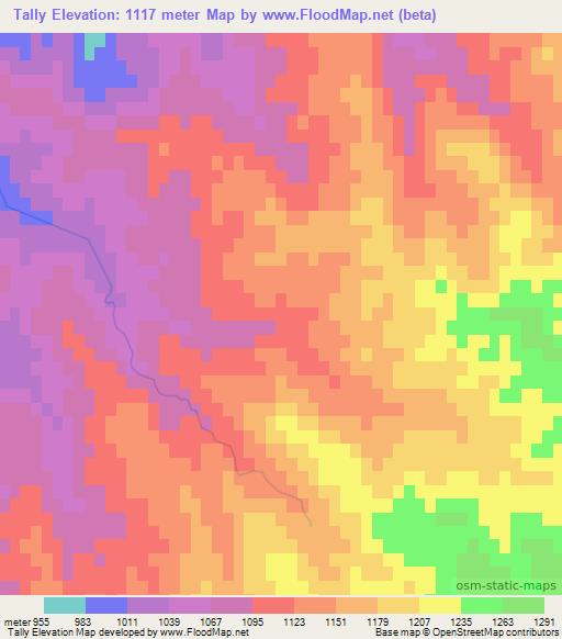 Tally,Uzbekistan Elevation Map