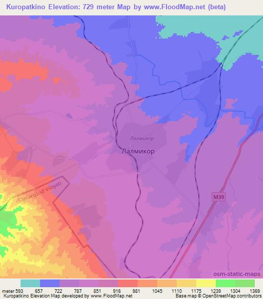 Kuropatkino,Uzbekistan Elevation Map