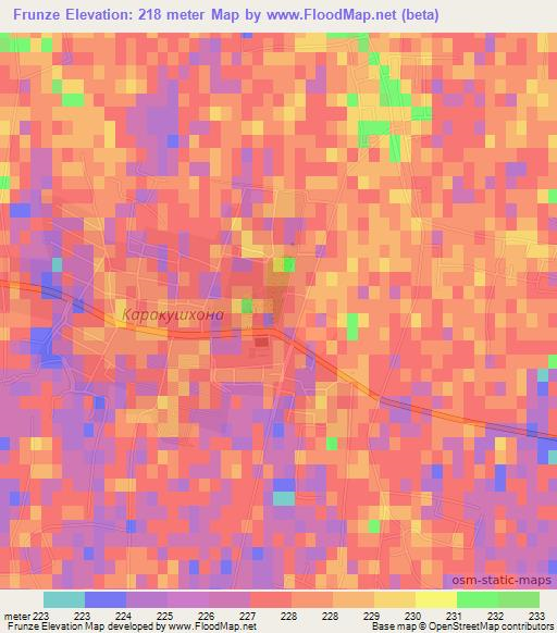 Frunze,Uzbekistan Elevation Map