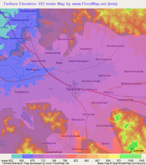 Tarikere,India Elevation Map
