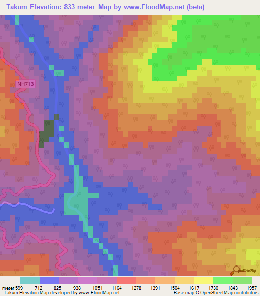 Takum,India Elevation Map