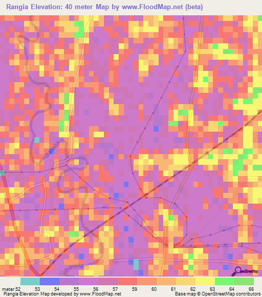 Rangia,India Elevation Map