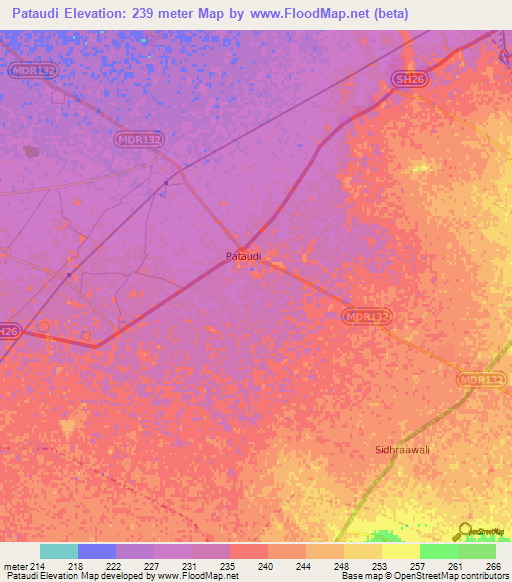 Pataudi,India Elevation Map