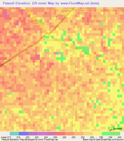 Pataudi,India Elevation Map