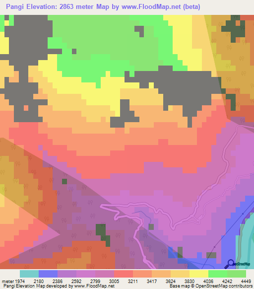 Pangi,India Elevation Map