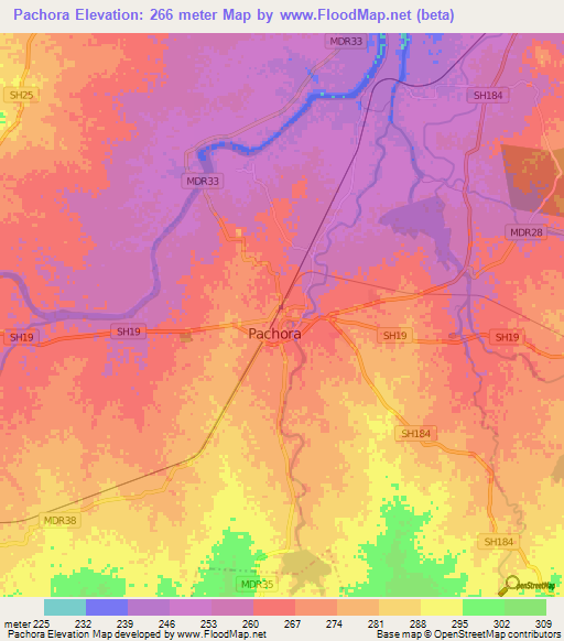 Pachora,India Elevation Map