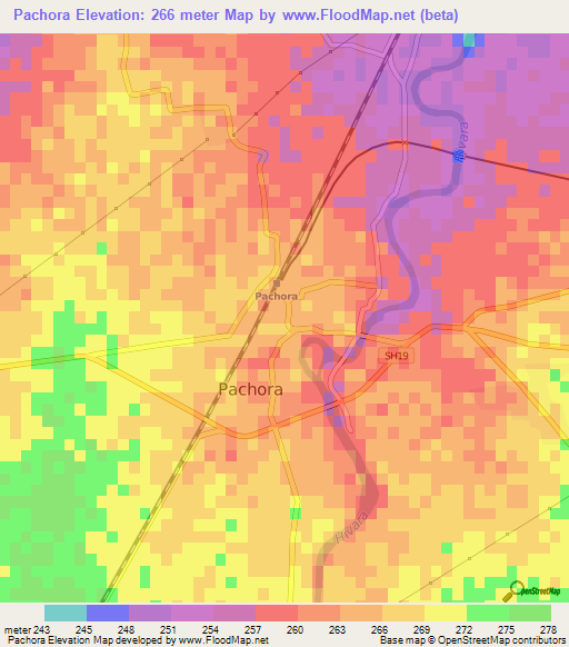 Pachora,India Elevation Map