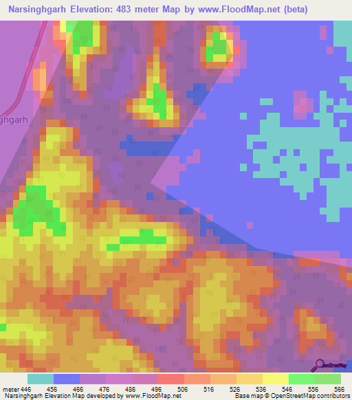 Narsinghgarh,India Elevation Map