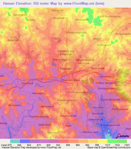 Hassan,India Elevation Map