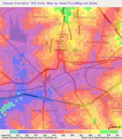 Hassan,India Elevation Map