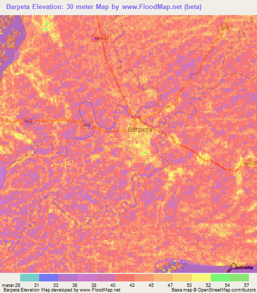 Barpeta,India Elevation Map