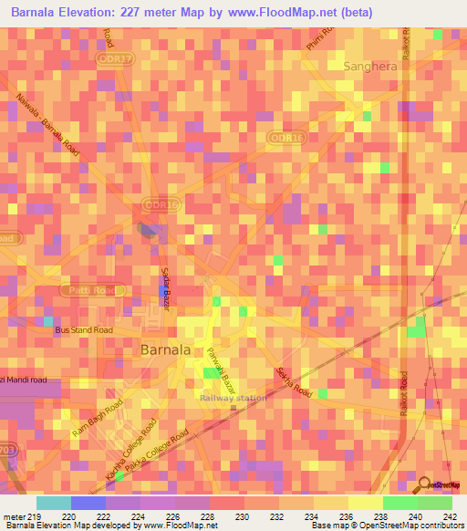 Barnala,India Elevation Map