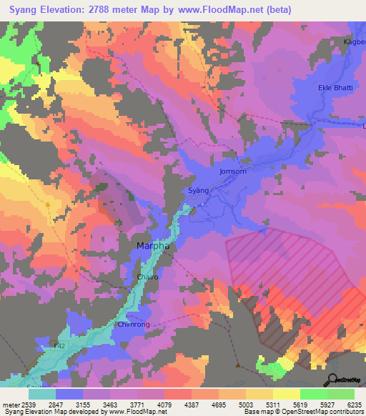 Syang,Nepal Elevation Map