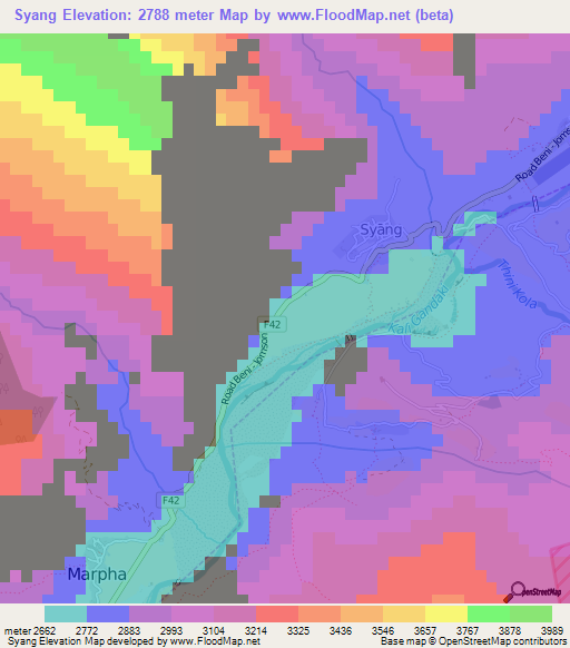 Syang,Nepal Elevation Map