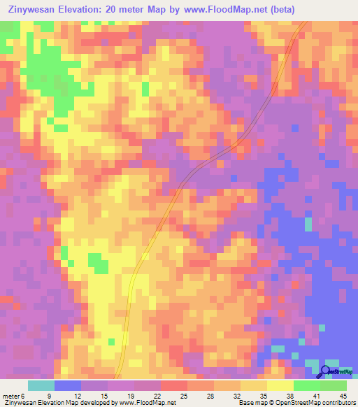 Zinywesan,Myanmar Elevation Map