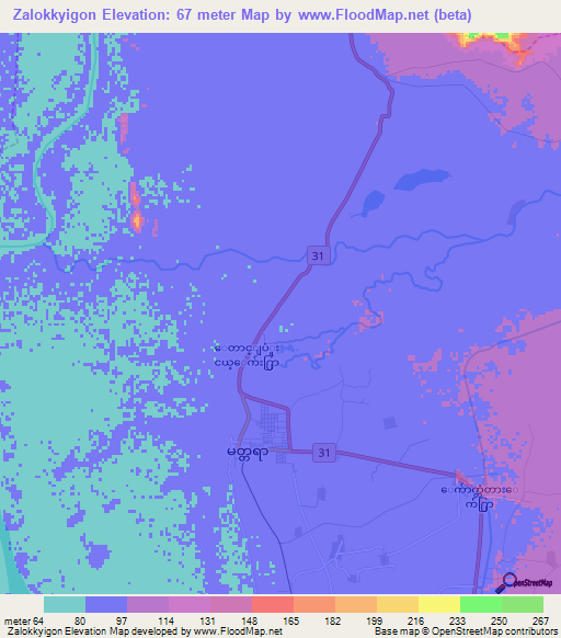 Zalokkyigon,Myanmar Elevation Map