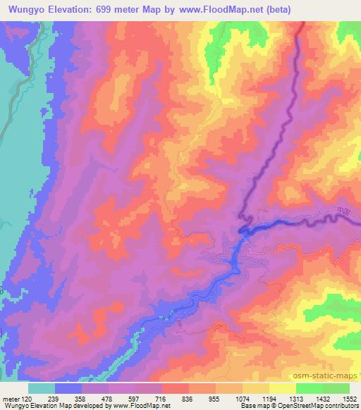 Wungyo,Myanmar Elevation Map