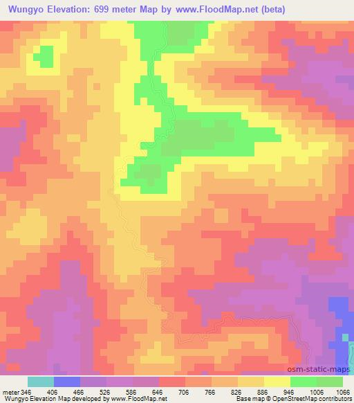 Wungyo,Myanmar Elevation Map