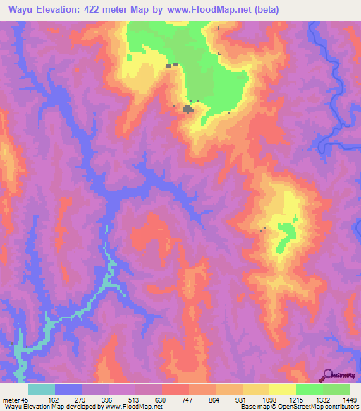 Wayu,Myanmar Elevation Map