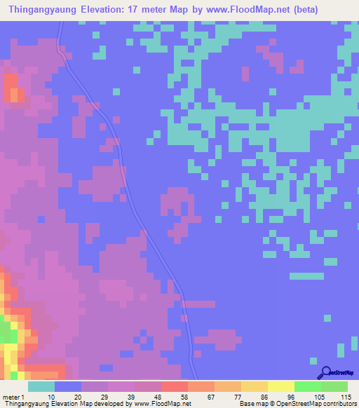 Thingangyaung,Myanmar Elevation Map