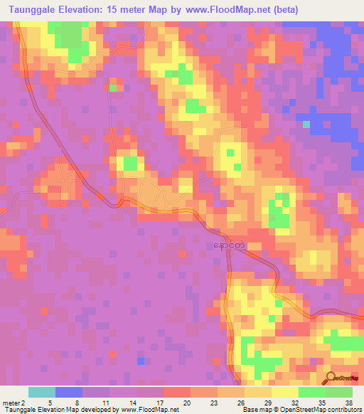 Taunggale,Myanmar Elevation Map