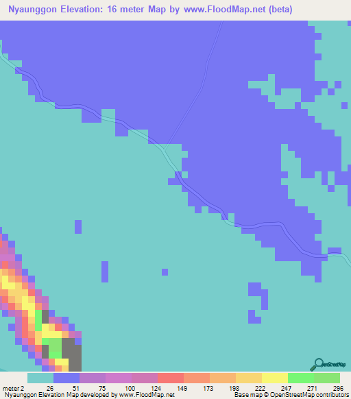 Nyaunggon,Myanmar Elevation Map