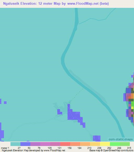 Ngaluseik,Myanmar Elevation Map