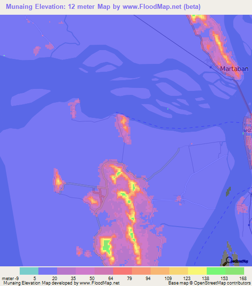 Munaing,Myanmar Elevation Map