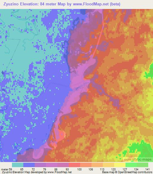 Zyuzino,Russia Elevation Map