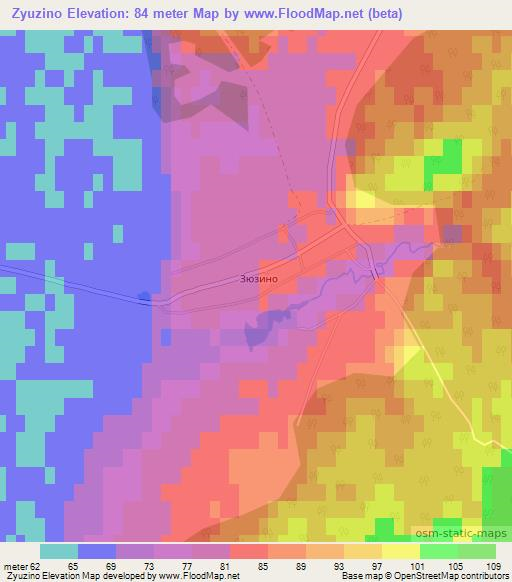 Zyuzino,Russia Elevation Map