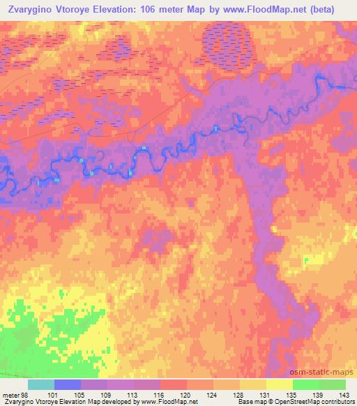 Zvarygino Vtoroye,Russia Elevation Map