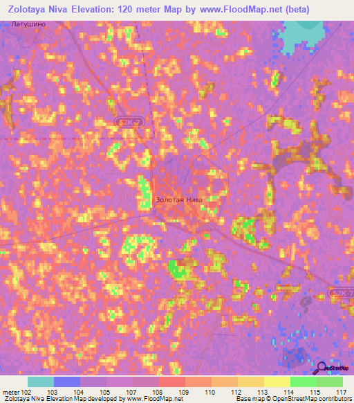 Zolotaya Niva,Russia Elevation Map