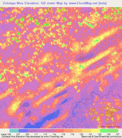 Zolotaya Niva,Russia Elevation Map