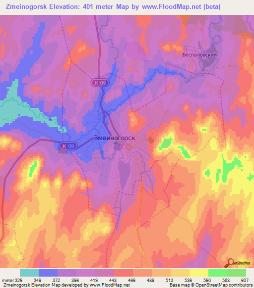 Zmeinogorsk,Russia Elevation Map