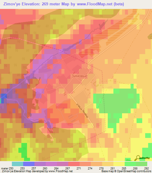 Zimov'ye,Russia Elevation Map