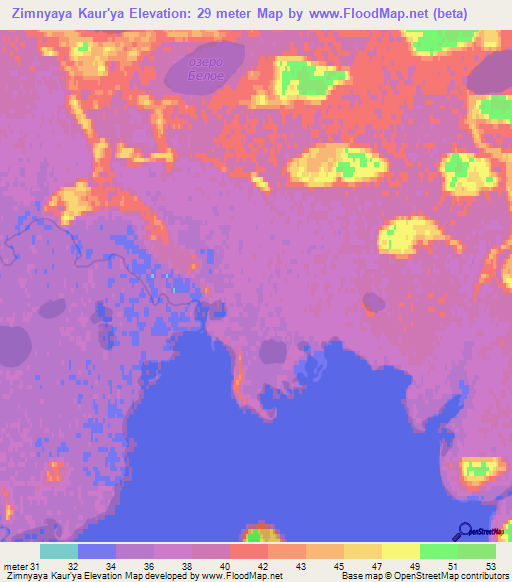 Zimnyaya Kaur'ya,Russia Elevation Map