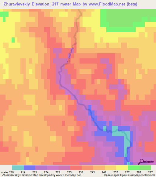 Zhuravlevskiy,Russia Elevation Map