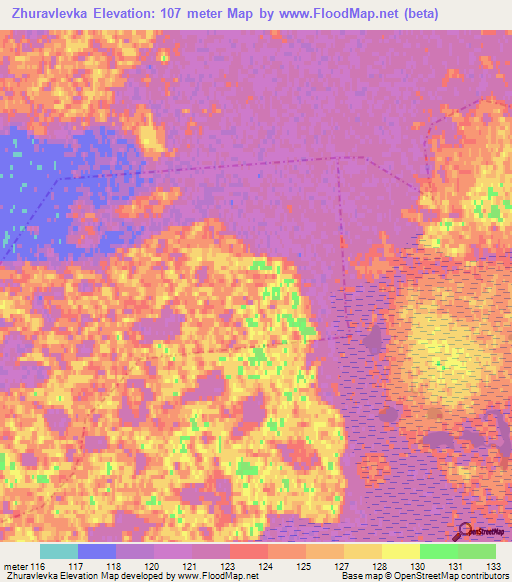 Zhuravlevka,Russia Elevation Map